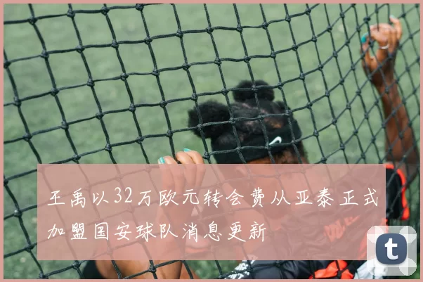 王禹以32万欧元转会费从亚泰正式加盟国安球队消息更新