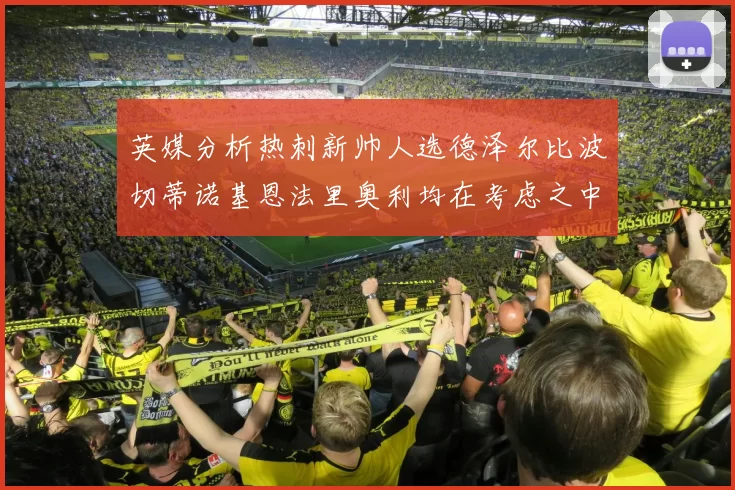 英媒分析热刺新帅人选德泽尔比波切蒂诺基恩法里奥利均在考虑之中